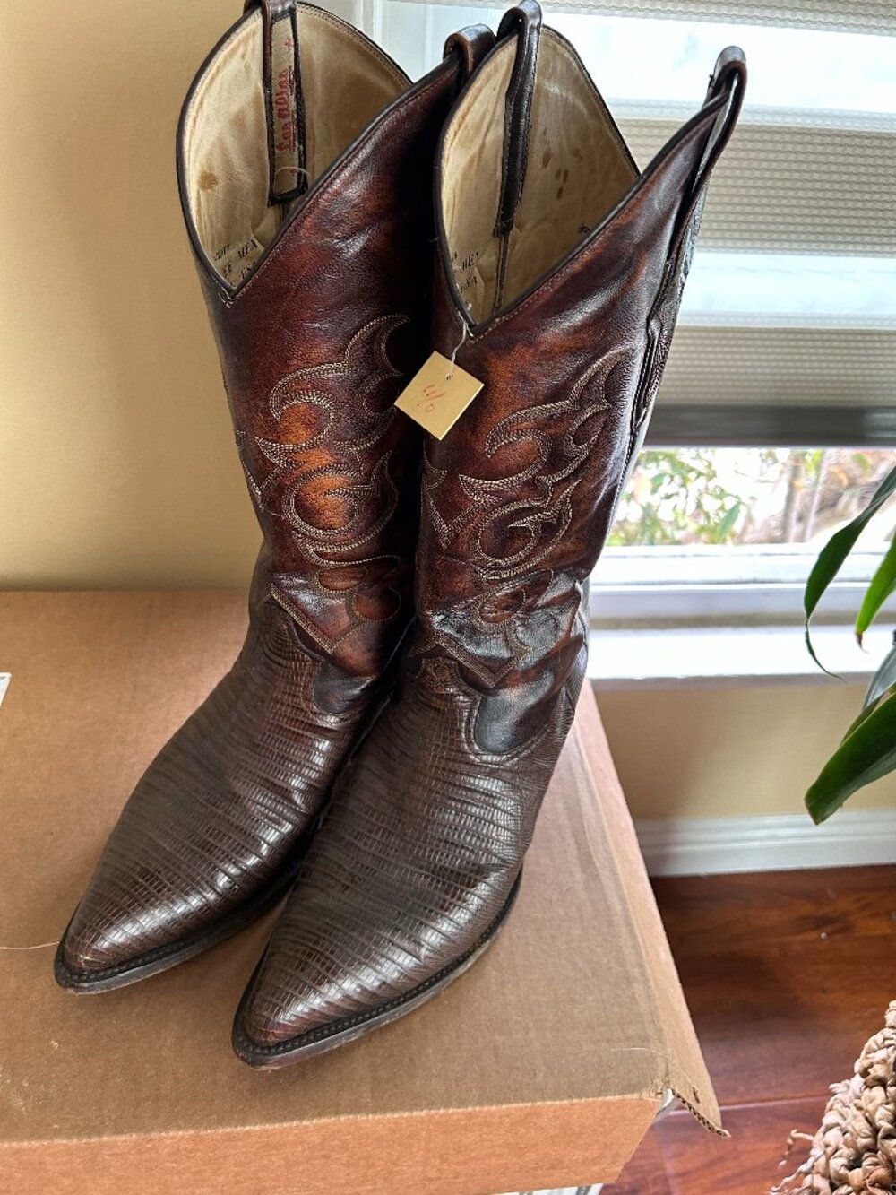 🦎 EXOTIC LUXURY | Los Altos Genuine Teju Lizard Western Boots